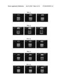 FERMENTED VEGETABLE OIL AND COMPOSITION INCLUDING SAME diagram and image