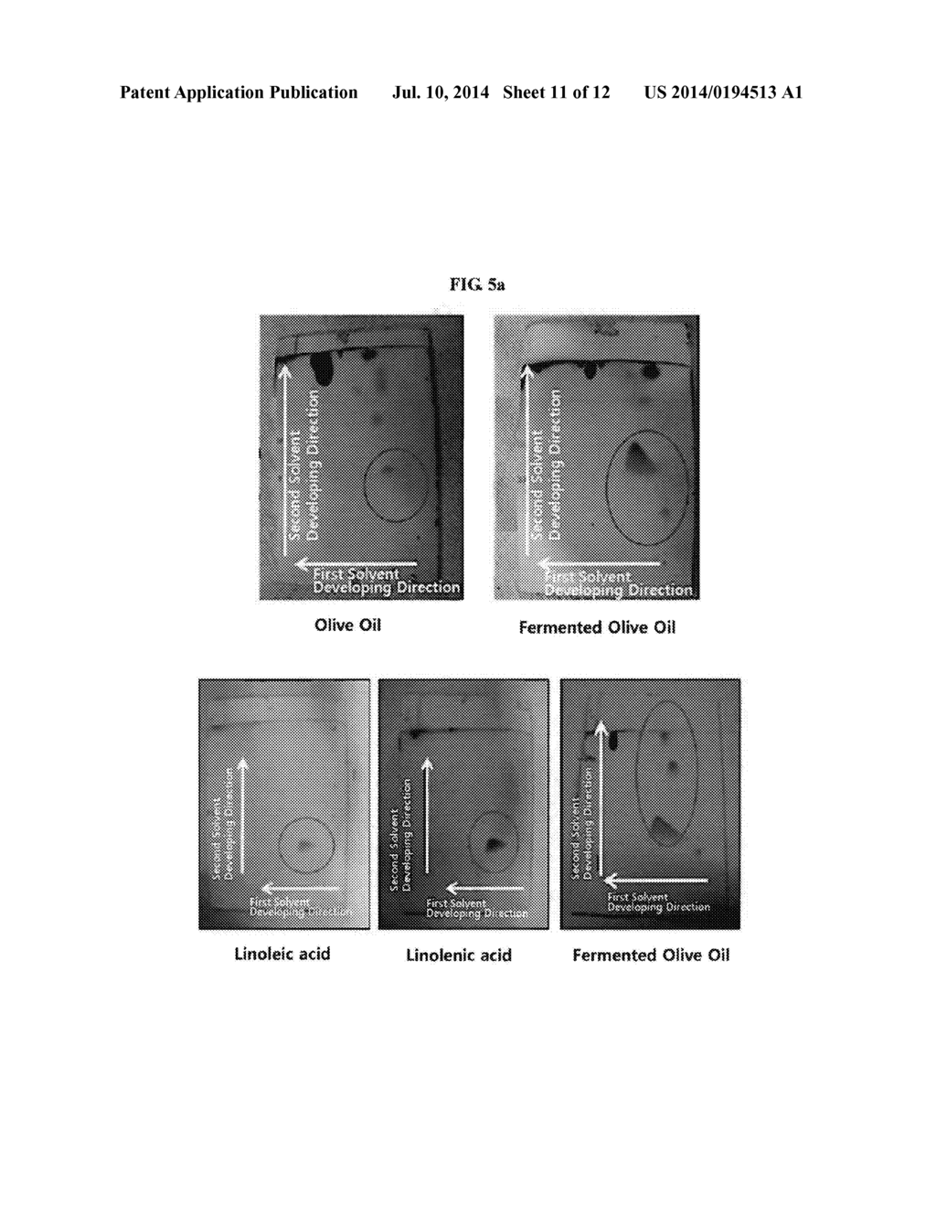 FERMENTED VEGETABLE OIL AND COMPOSITION INCLUDING SAME - diagram, schematic, and image 12