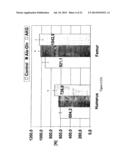 USE OF GLUTAMATE, GLUTAMATE DERIVATIVES OR METABOLITES, GLUTAMATE     ANALOGUES OR MIXTURES THEREOF FOR THE MANUFACTURE OF A COMPOSITION FOR     THE TREATMENT OF OSTEOPOROSIS diagram and image