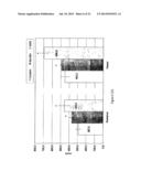 USE OF GLUTAMATE, GLUTAMATE DERIVATIVES OR METABOLITES, GLUTAMATE     ANALOGUES OR MIXTURES THEREOF FOR THE MANUFACTURE OF A COMPOSITION FOR     THE TREATMENT OF OSTEOPOROSIS diagram and image