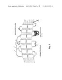 Method and Composition for Crystallizing G Protein-Coupled Receptors diagram and image