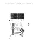 Method and Composition for Crystallizing G Protein-Coupled Receptors diagram and image