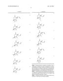 Method for Screening for Compounds Selectively Interacting with RAD9 diagram and image