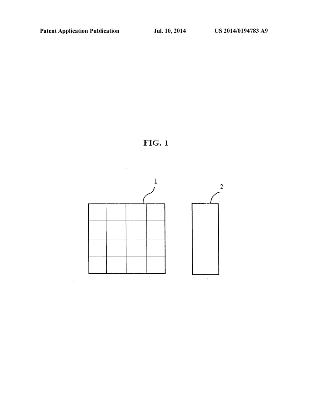 System and method for tattoo removal - diagram, schematic, and image 02