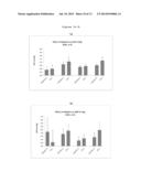 SYSTEM AND METHOD FOR LOCATING AND IDENTIFYING THE FUNCTIONAL NERVES     INNERVATING THE WALL OF ARTERIES diagram and image