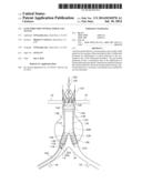 GATE WIRE FOR CONTRALATERAL LEG ACCESS diagram and image