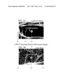 FINE FIBER MEDIA LAYER diagram and image