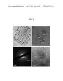 LIGHT ABSORBING MATERIAL AND SOLAR CELL INCLUDING THE SAME diagram and image