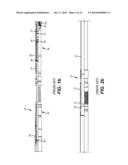 Liner Hanger/Packer Apparatus with Pressure Balance Feature on Anchor     Slips to Facilitate Removal diagram and image