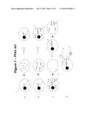 EFFICIENT DILUTION METHOD, INCLUDING WASHING METHOD FOR IMMUNOASSAY diagram and image