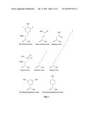 Functionalized Ceramic Membranes for the Separation of Organics from Raw     Water and Methods of Filtration Using Functionalized Ceramic Membranes diagram and image