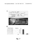 LIFTING GATE POLYDIMETHYLSILOXANE MICROVALVES AND PUMPS FOR MICROFLUIDIC     CONTROL diagram and image