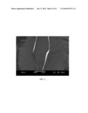 PREVENTION OF FRETTING CREVICE CORROSION OF MODULAR TAPER INTERFACES IN     ORTHOPEDIC IMPLANTS diagram and image