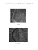 PREVENTION OF FRETTING CREVICE CORROSION OF MODULAR TAPER INTERFACES IN     ORTHOPEDIC IMPLANTS diagram and image