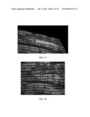 PREVENTION OF FRETTING CREVICE CORROSION OF MODULAR TAPER INTERFACES IN     ORTHOPEDIC IMPLANTS diagram and image