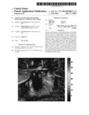 SYSTEM AND METHOD FOR MOTION DETECTION IN A SURVEILLANCE VIDEO diagram and image