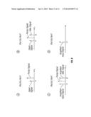 OPTICAL PHASE-SENSITIVE AMPLIFIER FOR DUAL-POLARIZATION MODULATION FORMATS diagram and image