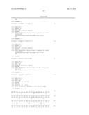 Soluble hyaluronidase glycoprotein (sHASEGP), process for preparing the     same, uses and pharmaceutical compositions comprising thereof diagram and image