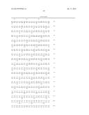 Soluble hyaluronidase glycoprotein (sHASEGP), process for preparing the     same, uses and pharmaceutical compositions comprising thereof diagram and image