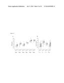 USE OF MATRIX METALLOPROTEINASE INHIBITORS TO TREAT TUBERCULOSIS diagram and image