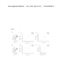 USE OF MATRIX METALLOPROTEINASE INHIBITORS TO TREAT TUBERCULOSIS diagram and image