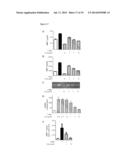 USE OF MATRIX METALLOPROTEINASE INHIBITORS TO TREAT TUBERCULOSIS diagram and image