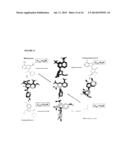 COMPOSITIONS AND METHODS FOR THE TREATMENT OF PROGRESSIVE MULTIFOCAL     LEUKOENCEPHALOPATHY (PML) diagram and image