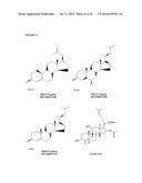 COMPOSITIONS AND METHODS FOR THE TREATMENT OF PROGRESSIVE MULTIFOCAL     LEUKOENCEPHALOPATHY (PML) diagram and image