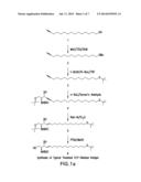 HUMANIZED ANTIBODY COMPOSITIONS AND METHODS FOR BINDING LYSOPHOSPHATIDIC     ACID diagram and image