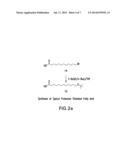 HUMANIZED ANTIBODY COMPOSITIONS AND METHODS FOR BINDING LYSOPHOSPHATIDIC     ACID diagram and image