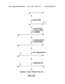 HUMANIZED ANTIBODY COMPOSITIONS AND METHODS FOR BINDING LYSOPHOSPHATIDIC     ACID diagram and image