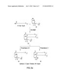 HUMANIZED ANTIBODY COMPOSITIONS AND METHODS FOR BINDING LYSOPHOSPHATIDIC     ACID diagram and image