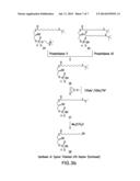 HUMANIZED ANTIBODY COMPOSITIONS AND METHODS FOR BINDING LYSOPHOSPHATIDIC     ACID diagram and image