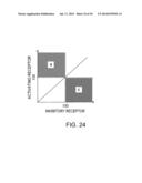 HETERODIMERIZED POLYPEPTIDE diagram and image