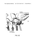 HETERODIMERIZED POLYPEPTIDE diagram and image