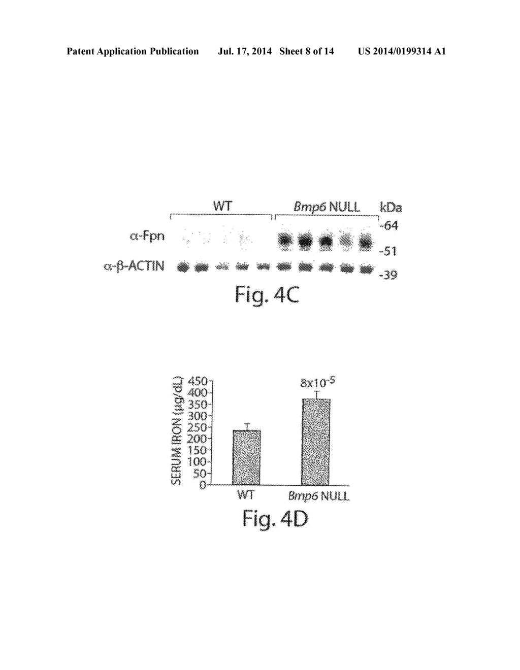 METHODS AND COMPOSITIONS FOR REGULATING IRON HOMEOSTASIS BY MODULATION OF     BMP-6 - diagram, schematic, and image 09