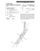 CLONIDINE COMPOUNDS IN A BIODEGRADABLE FIBER diagram and image