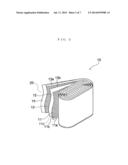 ELECTRIC STORAGE DEVICE AND MANUFACTURING METHOD THEREOF diagram and image