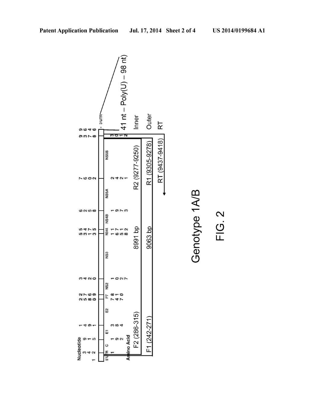 METHODS FOR AMPLIFYING HEPATITIS C VIRUS NUCLEIC ACIDS - diagram, schematic, and image 03