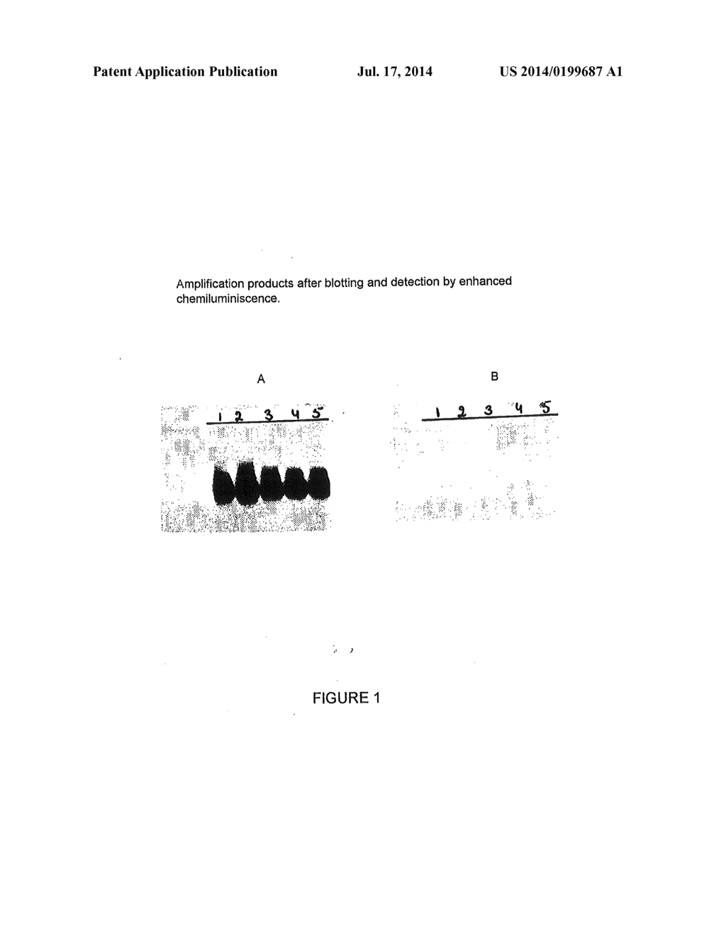 Nucleic Acid Sequences That Can Be Used as Primers and Probes in the     Amplification and Detection of All Subtypes of HIV-1 - diagram, schematic, and image 02