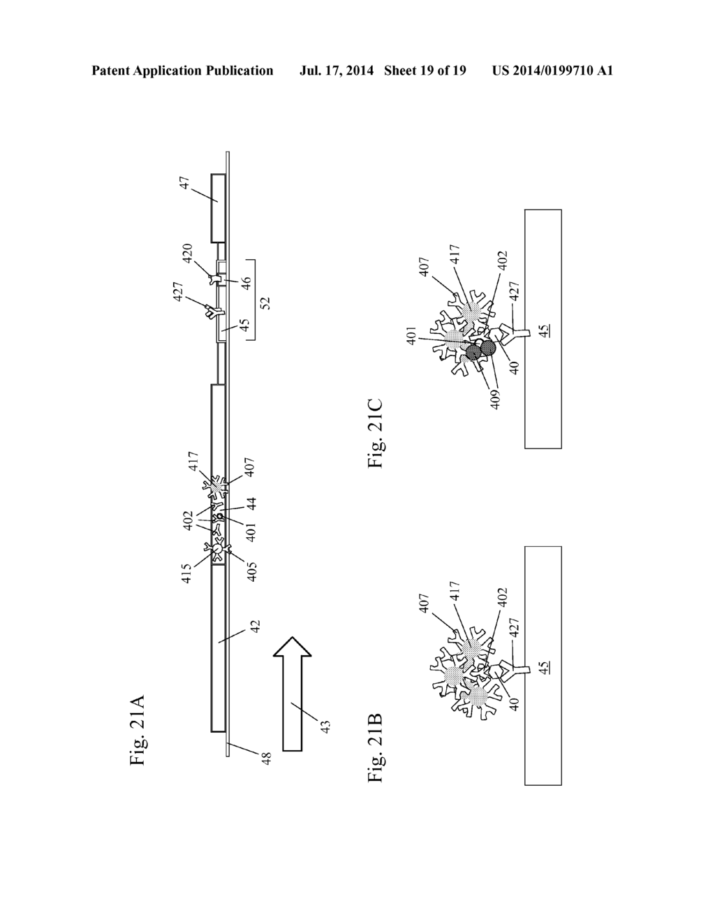 MULTIPLANAR LATERAL FLOW ASSAY WITH SAMPLE COMPRESSOR - diagram, schematic, and image 20