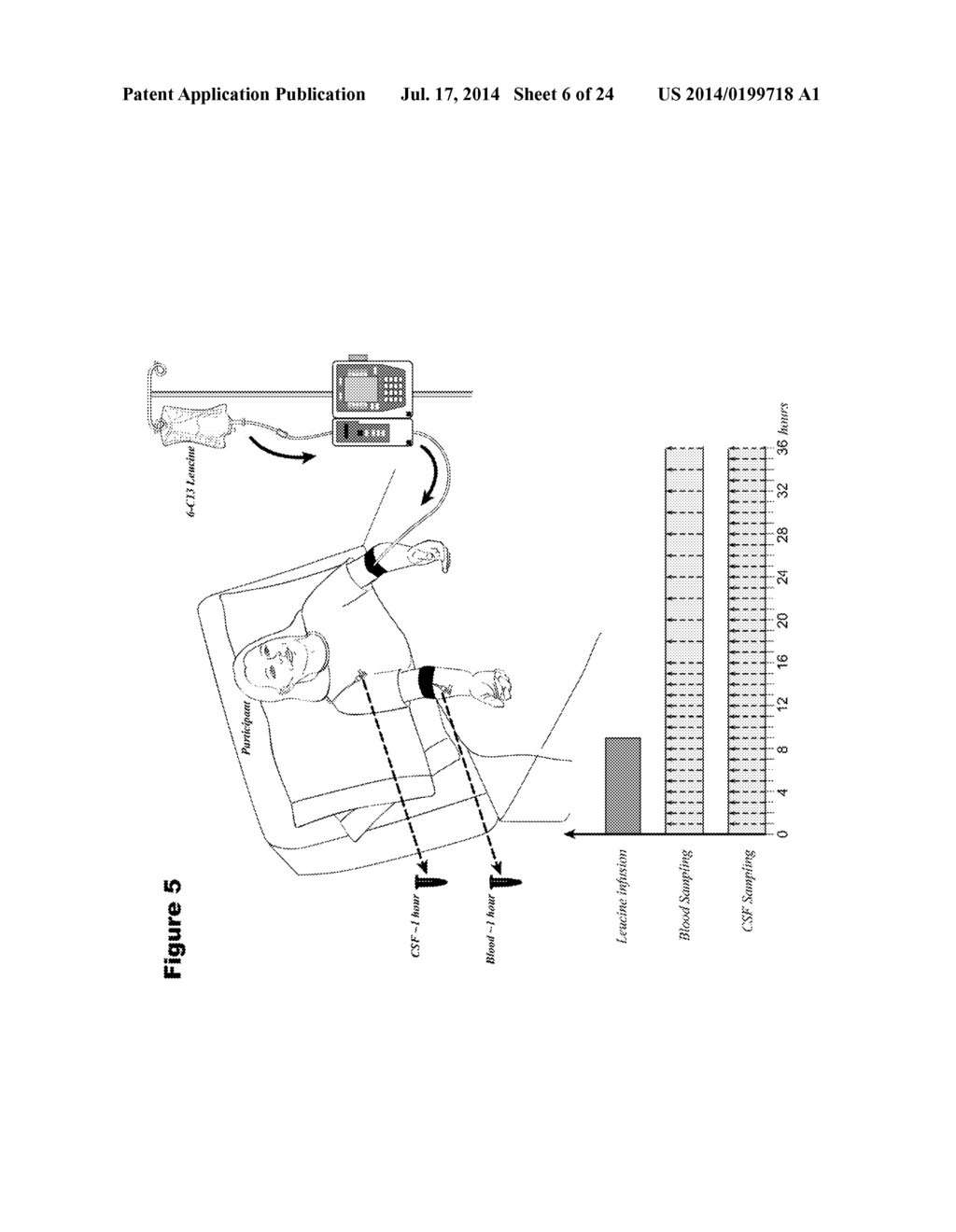 METHODS FOR MEASURING THE METABOLISM OF NEURALLY DERIVED BIOMOLECULES IN     VIVO - diagram, schematic, and image 07