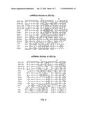 PROMOTER-REGULATED DIFFERENTIATION-DEPENDENT SELF-DELETING CASSETTE diagram and image