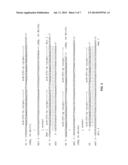 PROMOTER-REGULATED DIFFERENTIATION-DEPENDENT SELF-DELETING CASSETTE diagram and image