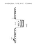 PROMOTER-REGULATED DIFFERENTIATION-DEPENDENT SELF-DELETING CASSETTE diagram and image