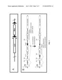 PROMOTER-REGULATED DIFFERENTIATION-DEPENDENT SELF-DELETING CASSETTE diagram and image