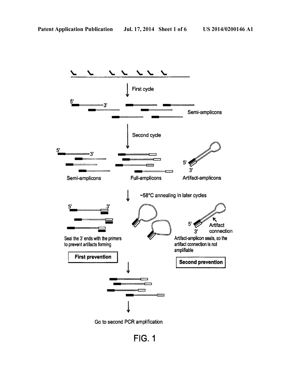 Methods of Amplifying Whole Genome of a Single Cell - diagram, schematic, and image 02