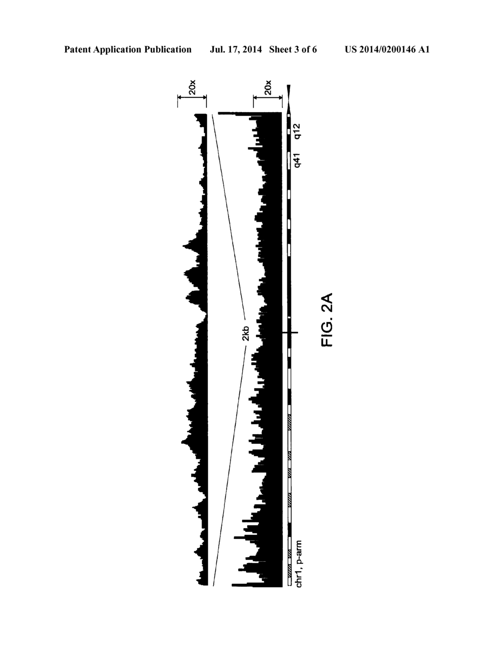 Methods of Amplifying Whole Genome of a Single Cell - diagram, schematic, and image 04