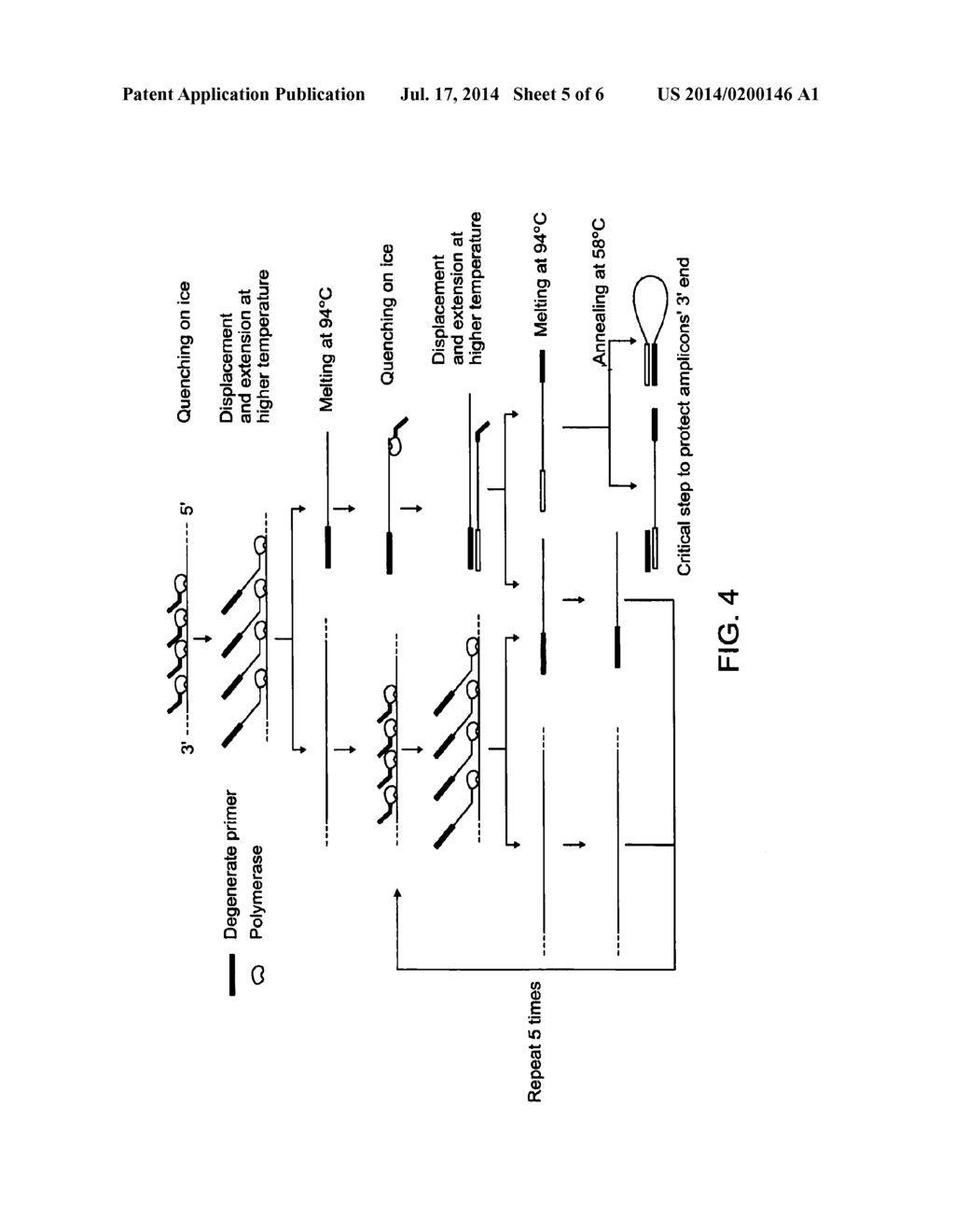 Methods of Amplifying Whole Genome of a Single Cell - diagram, schematic, and image 06