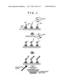 METHOD AND APPARATUS FOR NUCLEIC ACID ANALYSIS diagram and image